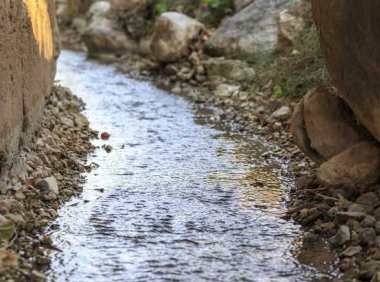 砷是什么?为什么它对你有害?