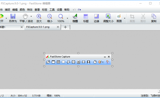 FastStone Capture 9.0图像浏览工具