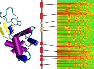 麻省理工学院的科学家把氨基酸变成了音乐