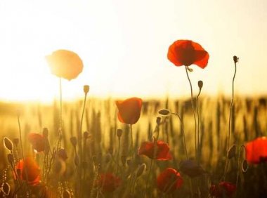 有一种心态,叫阳光