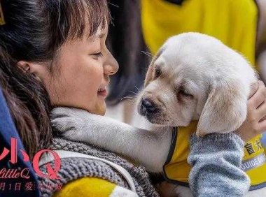 《小Q》活着的时候就要竭尽全力的去爱啊