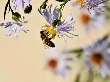 真正优秀的人,早把情绪戒了