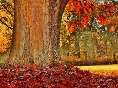 生命年轻得像一片海