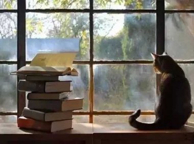 读书笔记的人生悖论