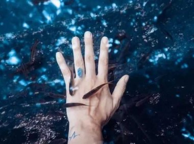 三条鱼的故事，看哭了！