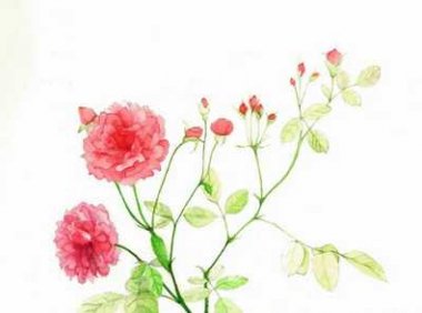 关于生活的几个关于