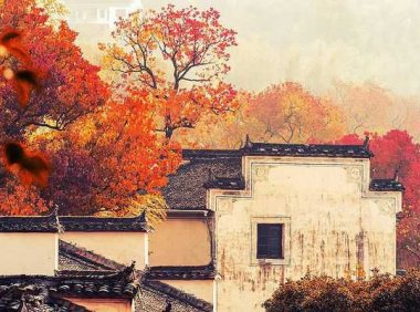 梦中一直在憧憬能再一次看到漂亮的建筑