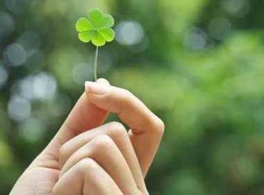 成熟其实不过是学会了“装”和“忍”