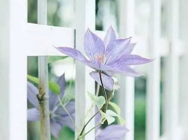 什么叫活出自己？