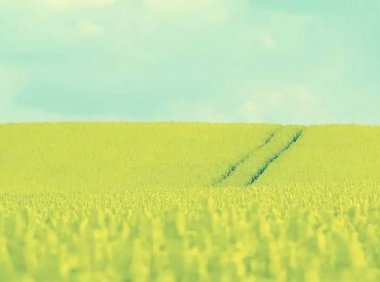 傲慢的样子很丑……