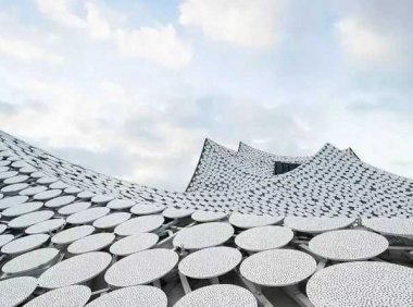 关于演讲,关于生命力空间,关于求知