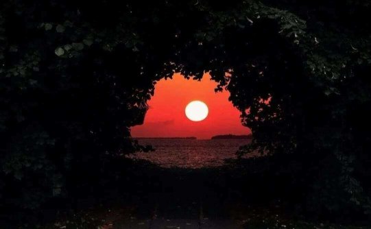 曾经那个属于我的光 现在又是谁的太阳