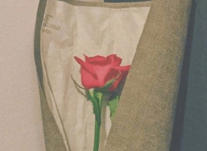 女人微信淡然个性签名成熟优雅 看淡了也就无所谓了个性签名