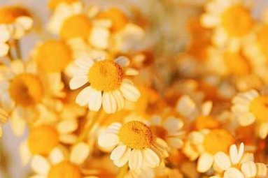 人要自己活着，可不是为上帝而活