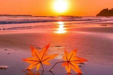 你需要的也许只是一块面包