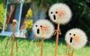 emo文案伤感|句子很短确充满遗憾