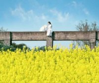 我家的那些猫们(二)