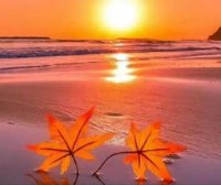 他在爱情下寻找自我