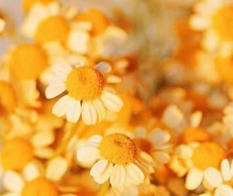 成人大专怎么报名?如何省心快速毕业?需要注意哪些地方?往下看!