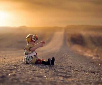 我家的那些猫们(三)