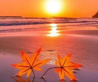 他在爱情下寻找自我