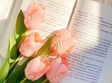 夜读美文:唯有你也喜欢,生活才有意义