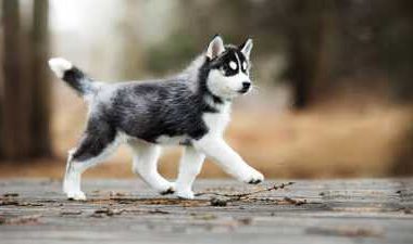 情感故事：为你留盏灯。