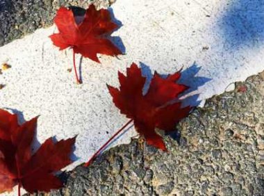 天花板级别的发抖音文案句子