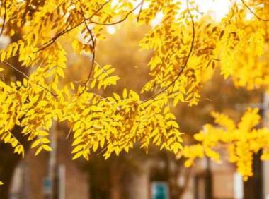 暮秋路上,清风卷岁月。