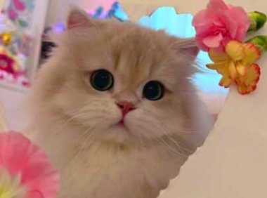 就那么小众的句子,总有一句你会喜欢