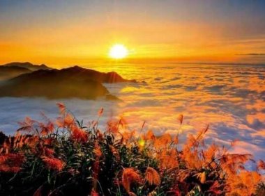 能陪你一辈子的,不是别人,而是。。。