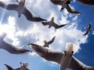 生活不要攀比,适合自己就是幸福。