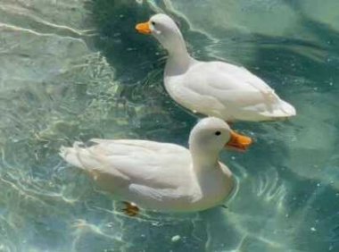 情感夜读：人生要学会放空自己。