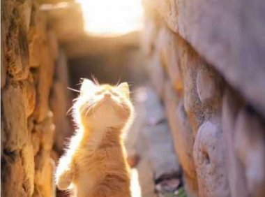 夜读,承重,方可出众