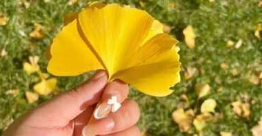 人生感悟美文｜引路靠贵人，走路靠自己