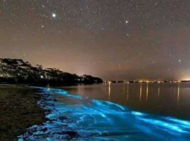 收藏了一些让人惊艳的古文情话