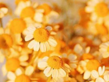 年少时的憧憬,青春期的躁动,而立之时的怀念《早班火车》