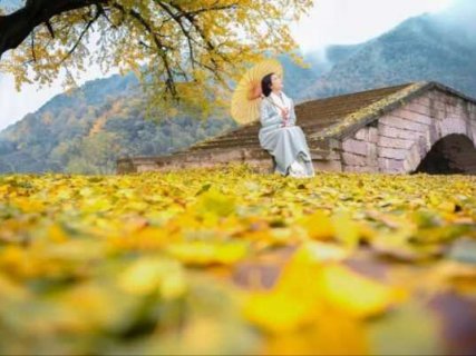 从单一男性的细胞分化出XX和XY型体细胞,证实胚胎的性别差异发育始于基因而非激素