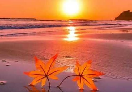 长新冠症状“脑雾”可能有了治疗方案