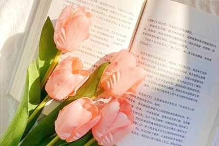 夜读美文：唯有你也喜欢，生活才有意义