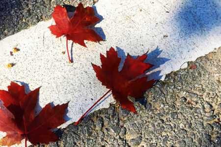 天花板级别的发抖音文案句子