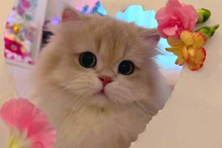 就那么小众的句子,总有一句你会喜欢