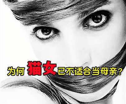 人生微语:为何猫女已不适合当母亲?