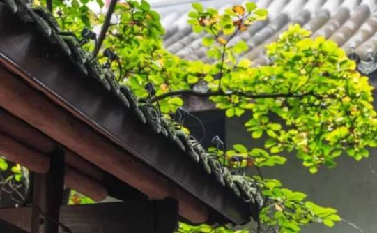 问心无愧,做人不累