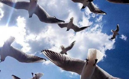 生活不要攀比,适合自己就是幸福。