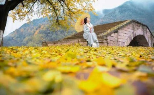 静好岁月,不复如初流年