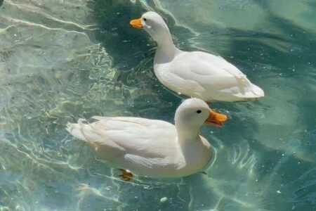 情感夜读:人生要学会放空自己。