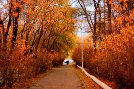 夜读:人间一叠秋,静待十月风