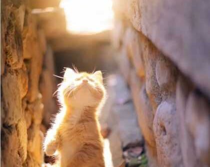 夜读，承重，方可出众