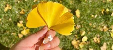 人生感悟美文｜引路靠贵人，走路靠自己